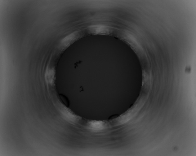 X0000102260189200808081410