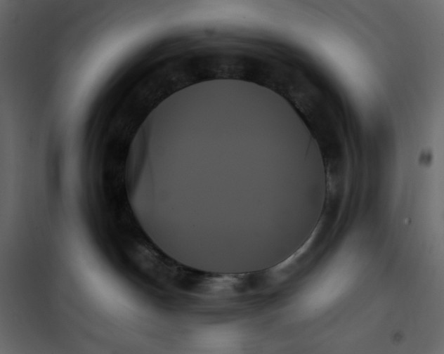 X0000102260190200808081410