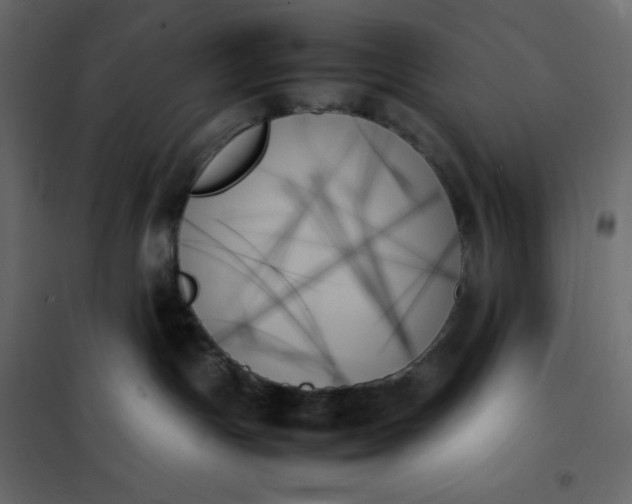 X0000102260191200808081410