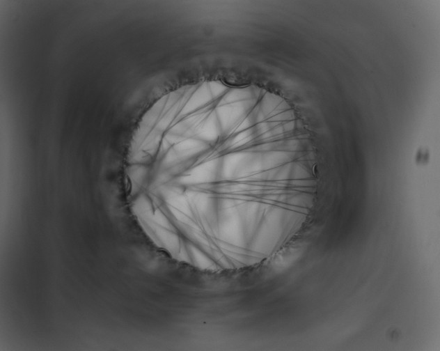 X0000102260192200808081410