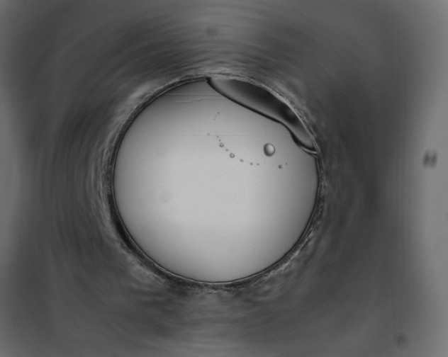 X0000102260193200808081410