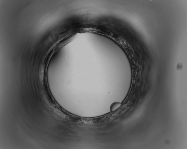 X0000102260194200808081410