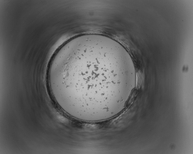 X0000102260195200808081410