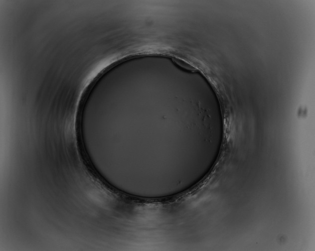 X0000102260196200808081409