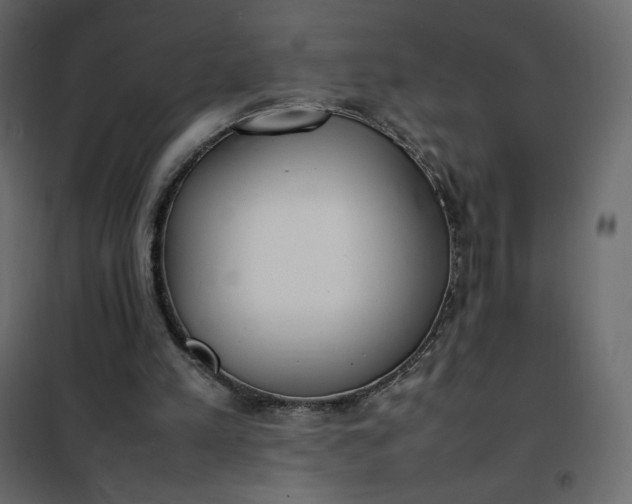 X0000102260197200808081409