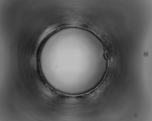 X0000102260198200808081409