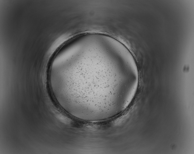 X0000102260199200808081409