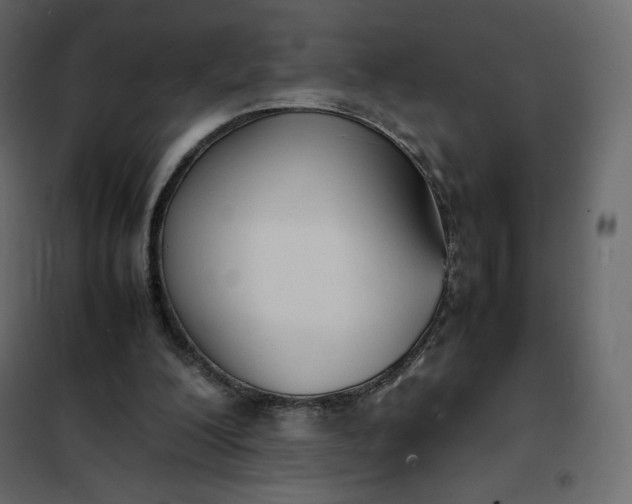 X0000102260200200808081409