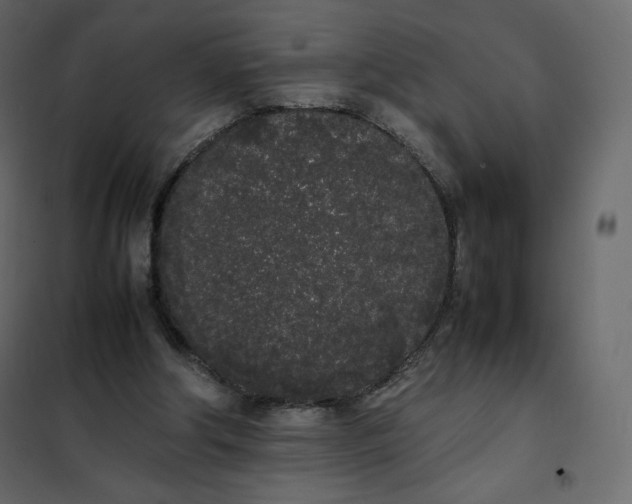 X0000102260202200808081409