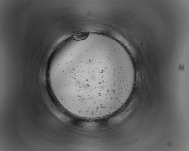 X0000102260203200808081409