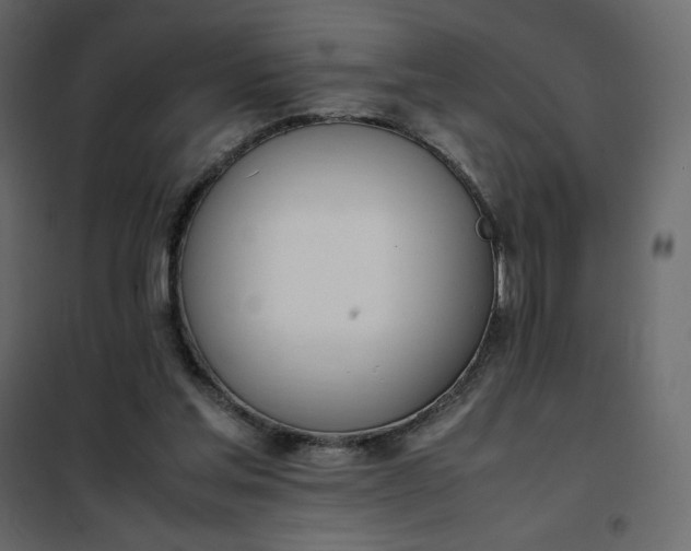 X0000102260205200808081409