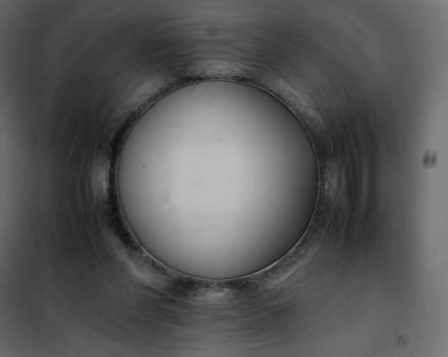 X0000102260206200808081409