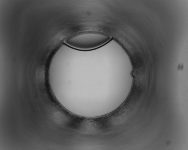 X0000102260207200808081409