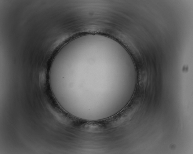 X0000102260208200808081409