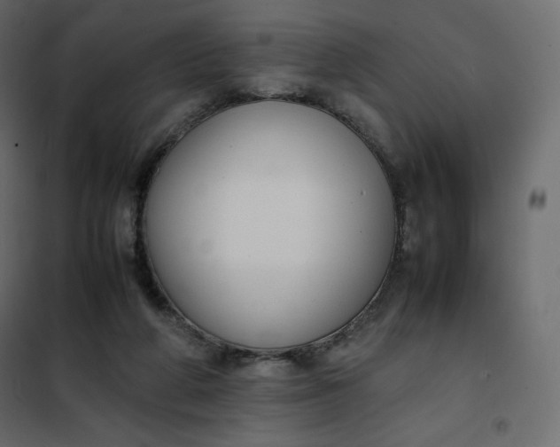 X0000102260210200808081409