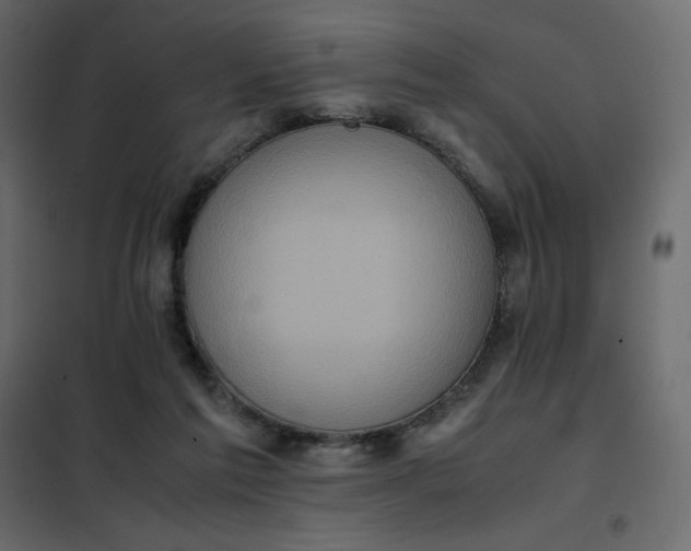 X0000102260213200808081409