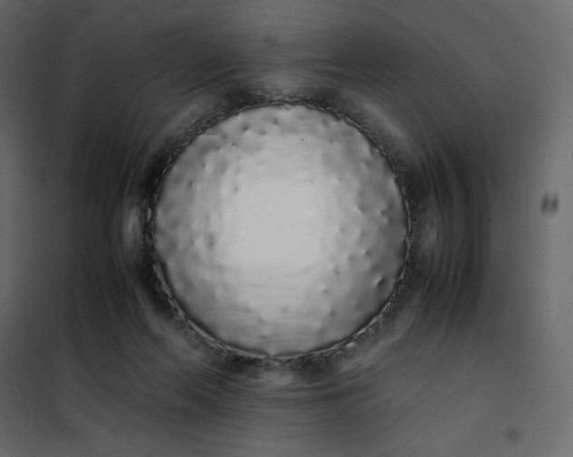 X0000102260214200808081409