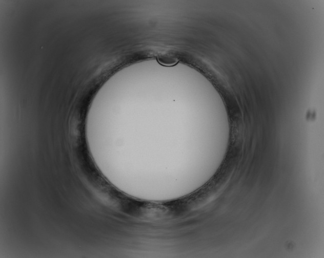 X0000102260215200808081409