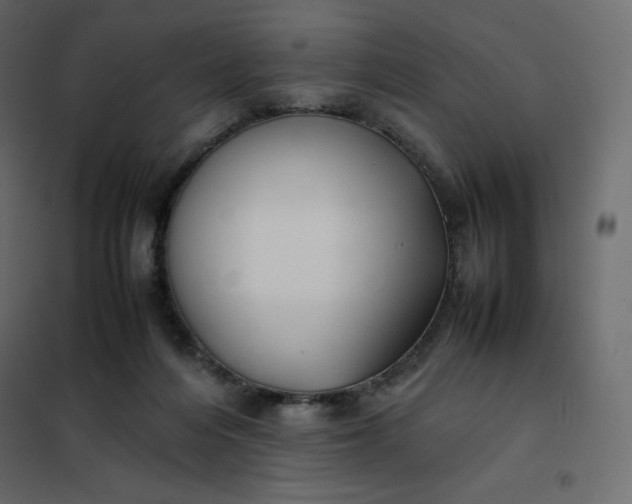 X0000102260216200808081409