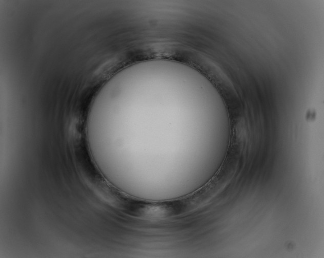 X0000102260218200808081409