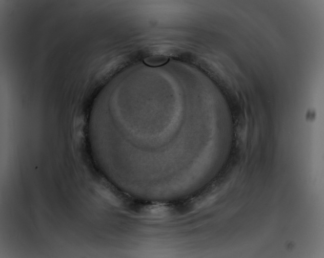 X0000102260219200808081409