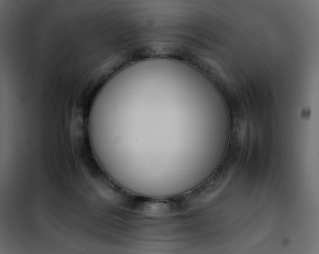 X0000102260220200808081409