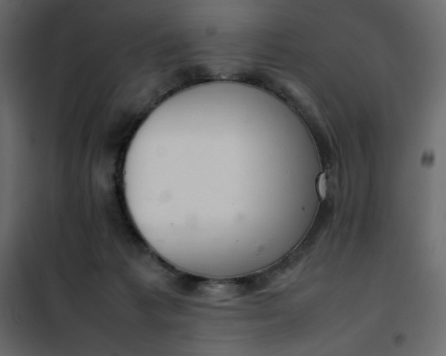 X0000102260221200808081409