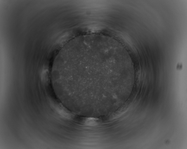 X0000102260222200808081409