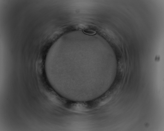 X0000102260223200808081409