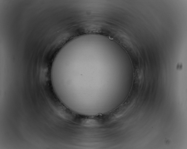 X0000102260224200808081409