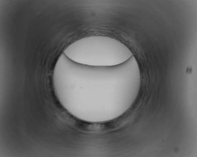 X0000102260225200808081409