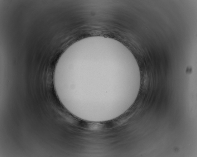 X0000102260226200808081409