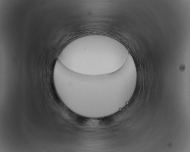 X0000102260227200808081409