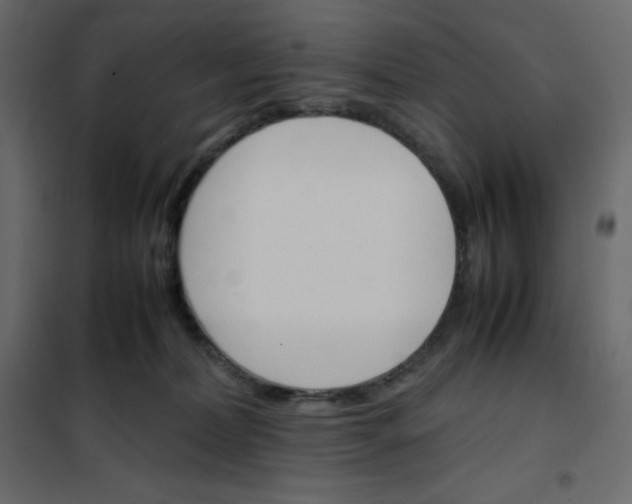 X0000102260228200808081409