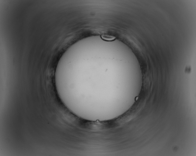 X0000102260229200808081409