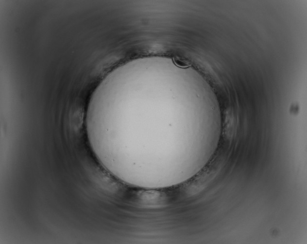 X0000102260230200808081409