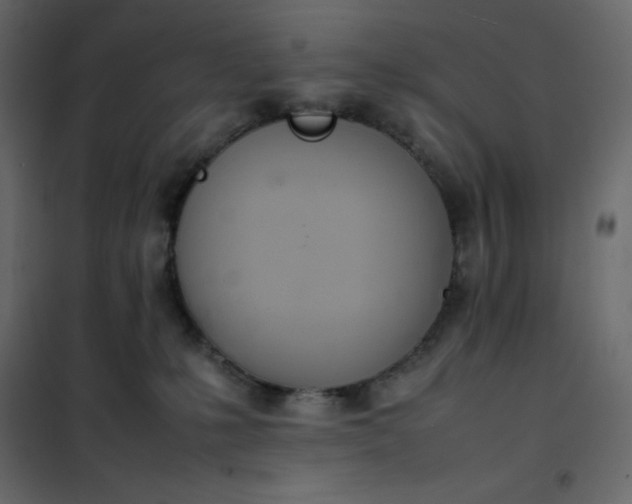 X0000102260231200808081409