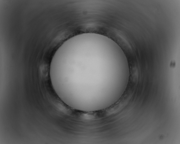 X0000102260232200808081409