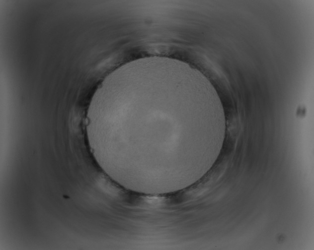 X0000102260233200808081409