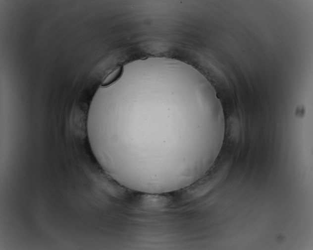 X0000102260234200808081409