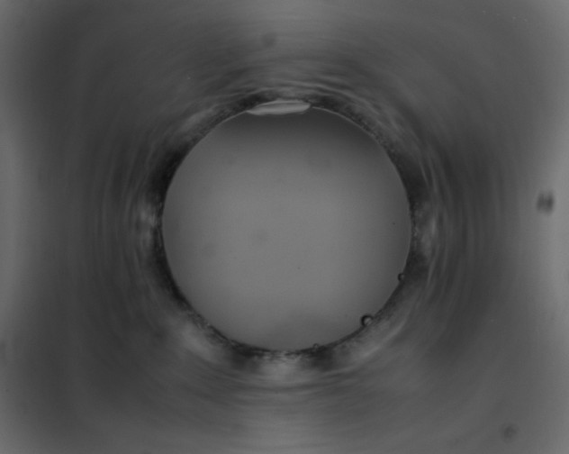 X0000102260235200808081409