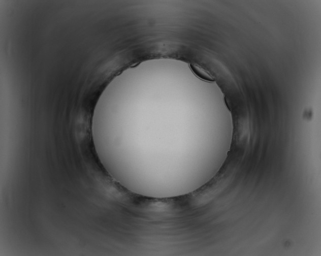 X0000102260236200808081409