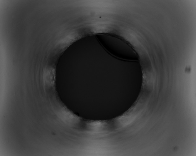 X0000102260237200808081409