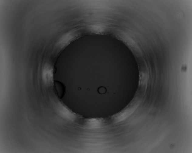 X0000102260238200808081409