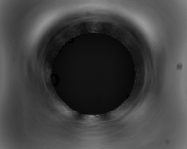 X0000102260239200808081409