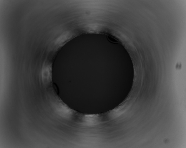 X0000102260240200808081409