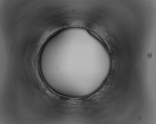 X0000102260241200808081408