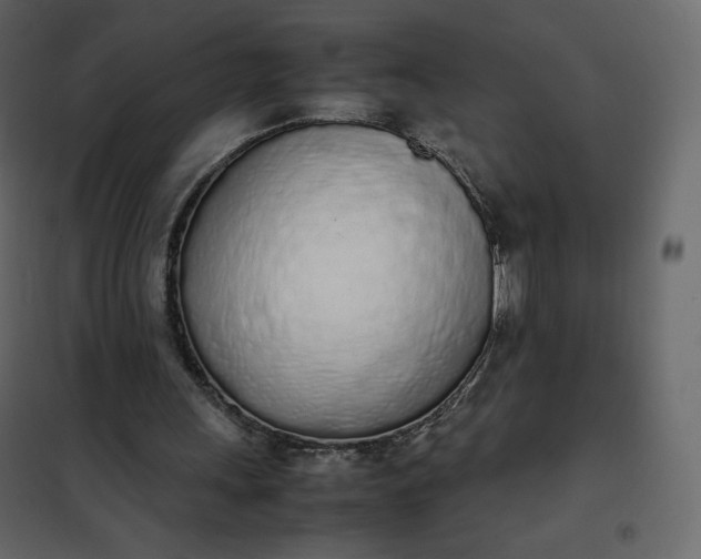 X0000102260243200808081408