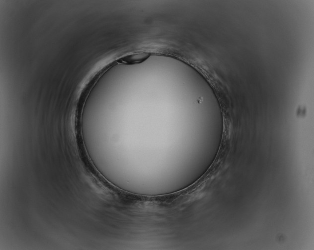 X0000102260244200808081408