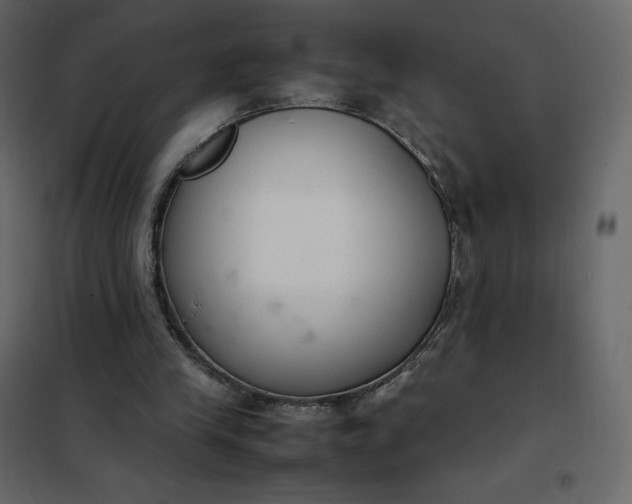 X0000102260245200808081408